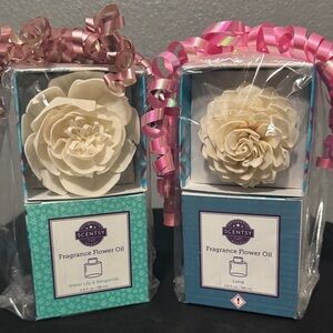 Fragrant Flower Diffuser Sets